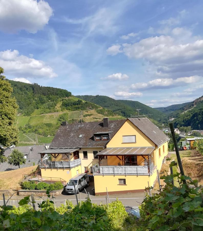 Die Ferienwohnung Lindenhof Zell Eksteriør billede